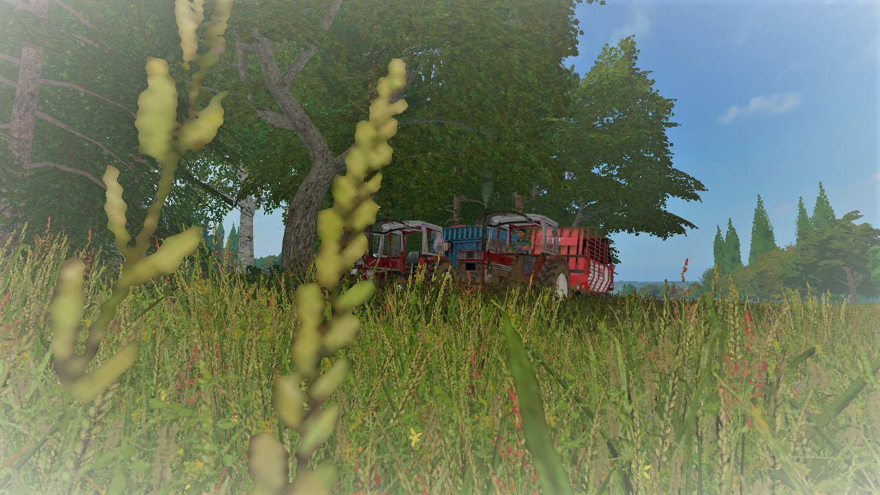 wenn Opa und Enkel gras einfahren