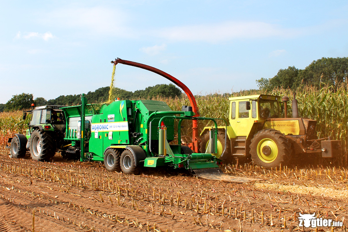 MB trac 1300 | Maissilagerundballen