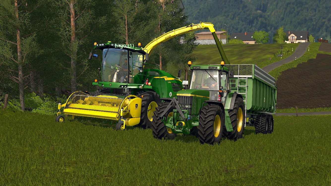 Hirsche in freier Wildbahn