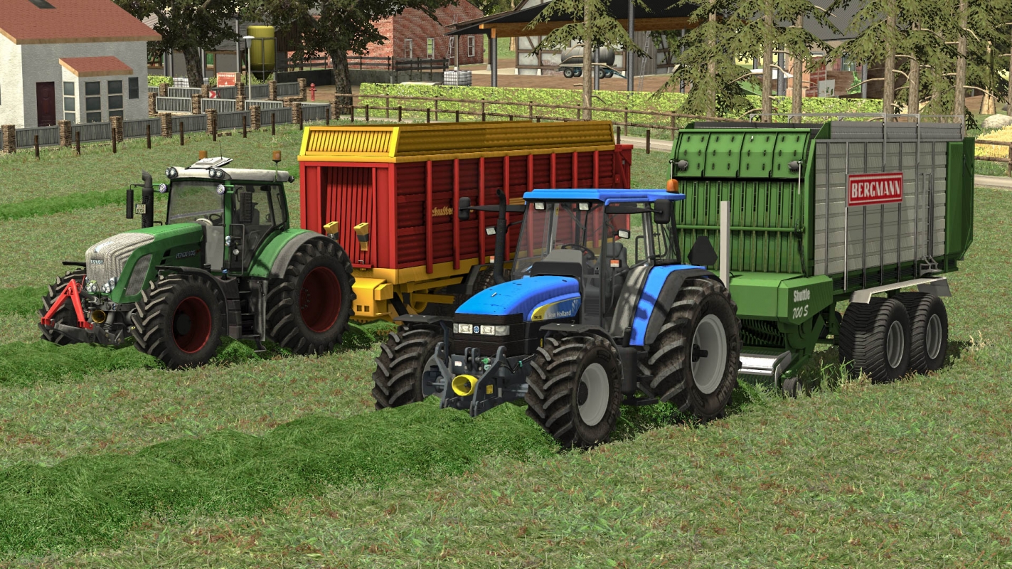 Grass