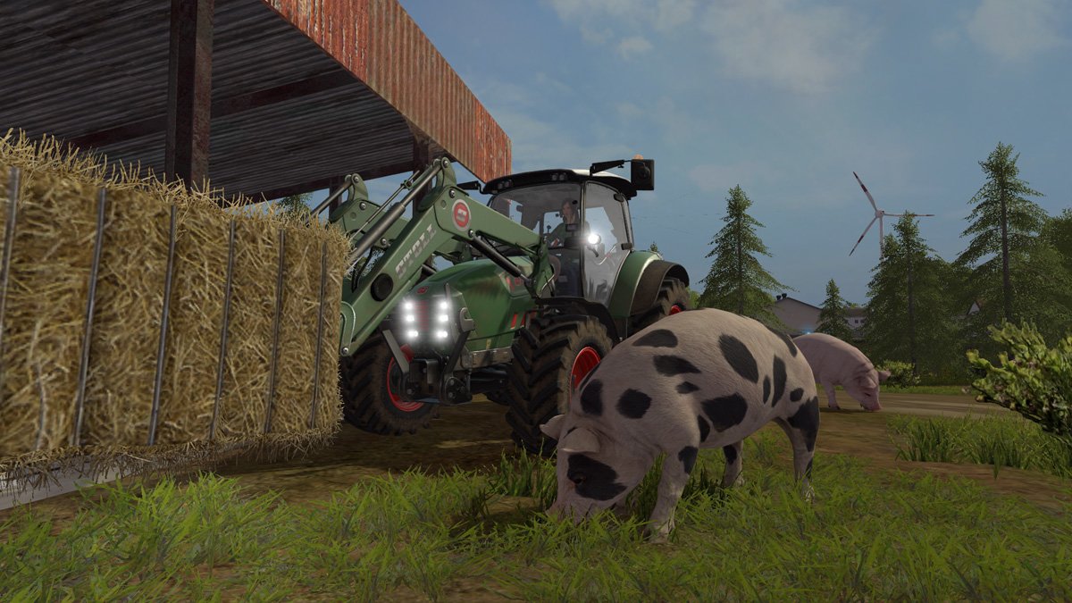 Stroh für die Schweine