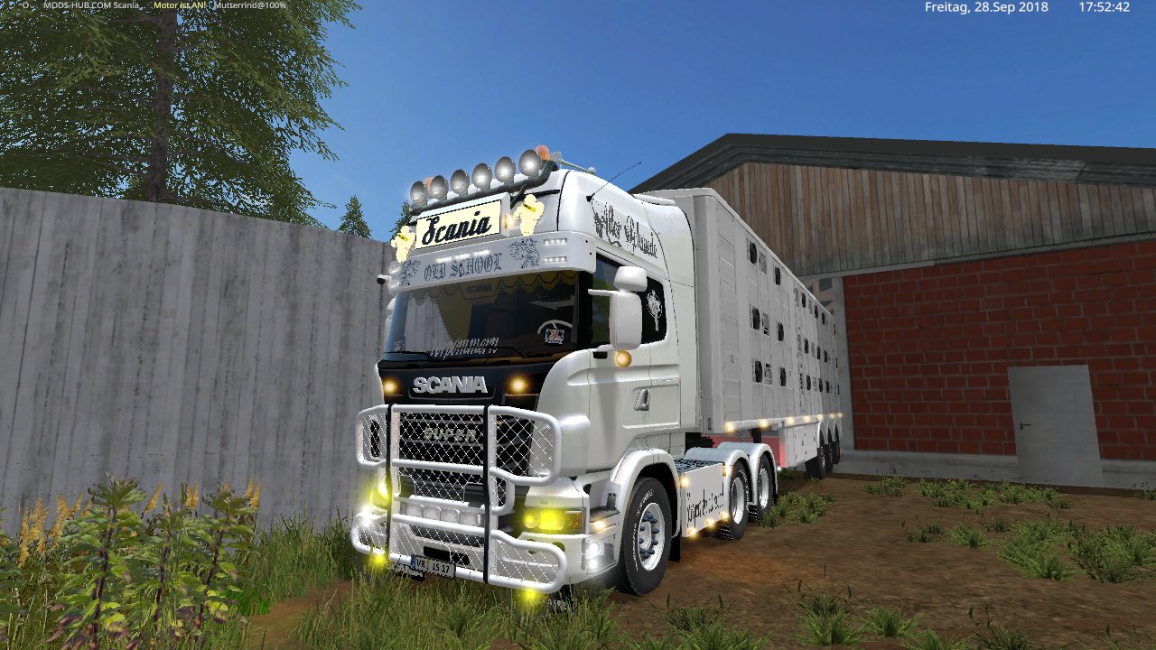 mit den scania v8 und den michiegletto am14 mutter rinder kaufen