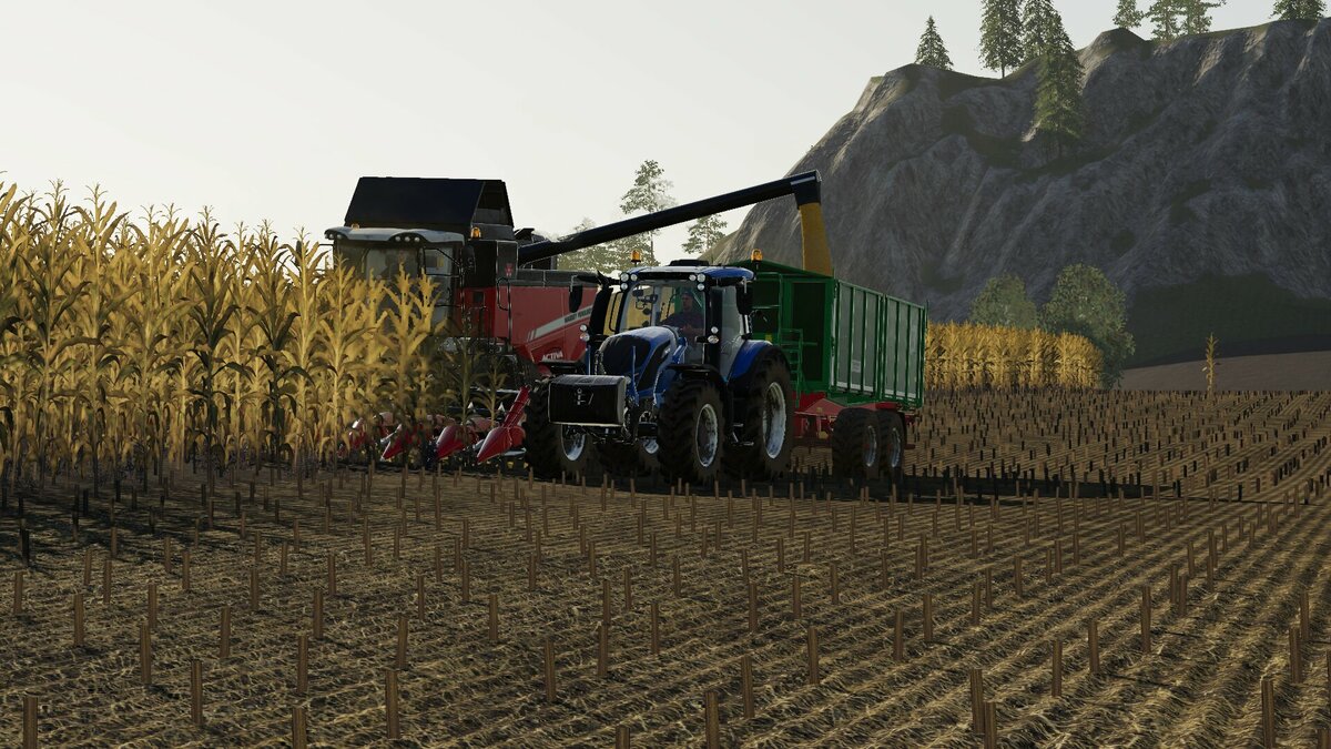 Mais dreschen bei der Agrar GmbH Felsbrunn