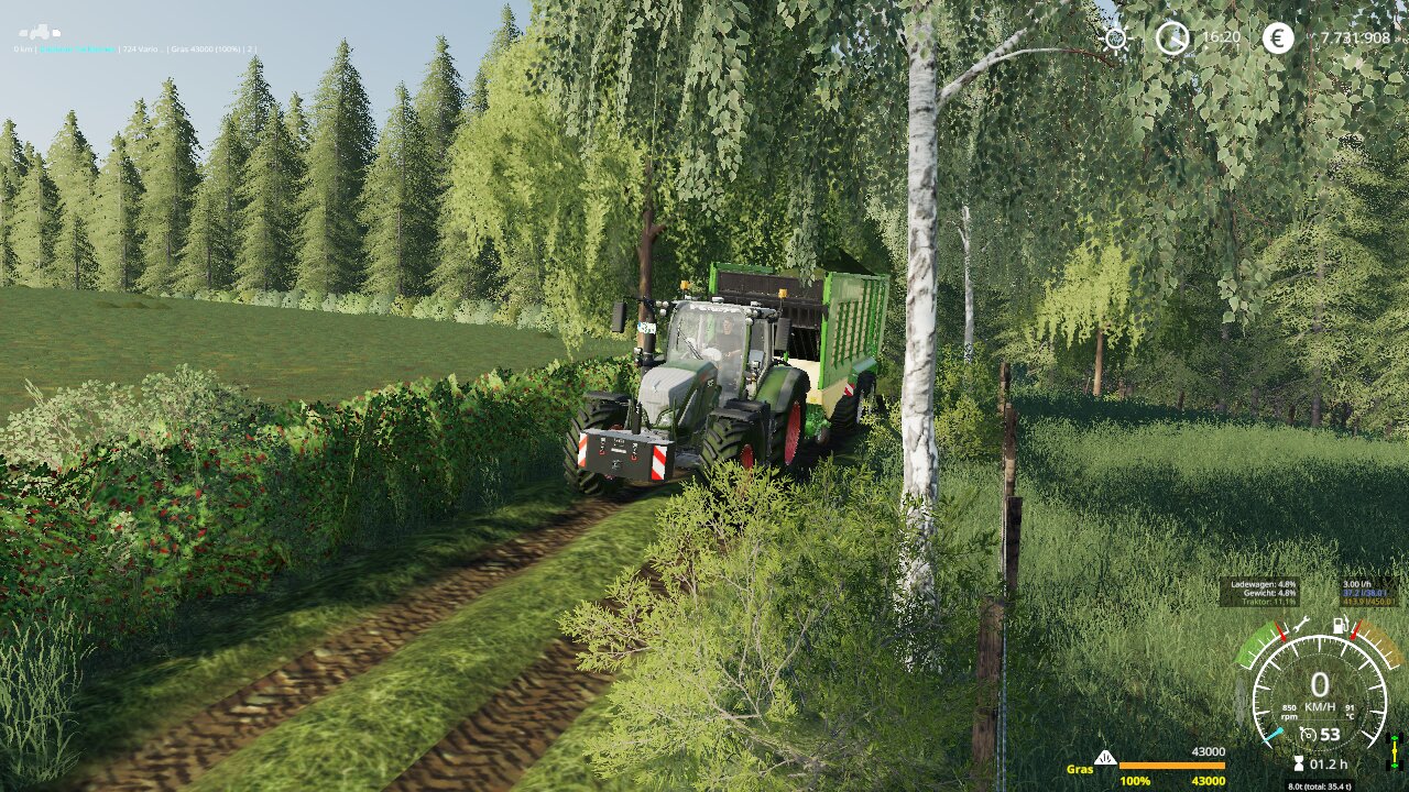 grass