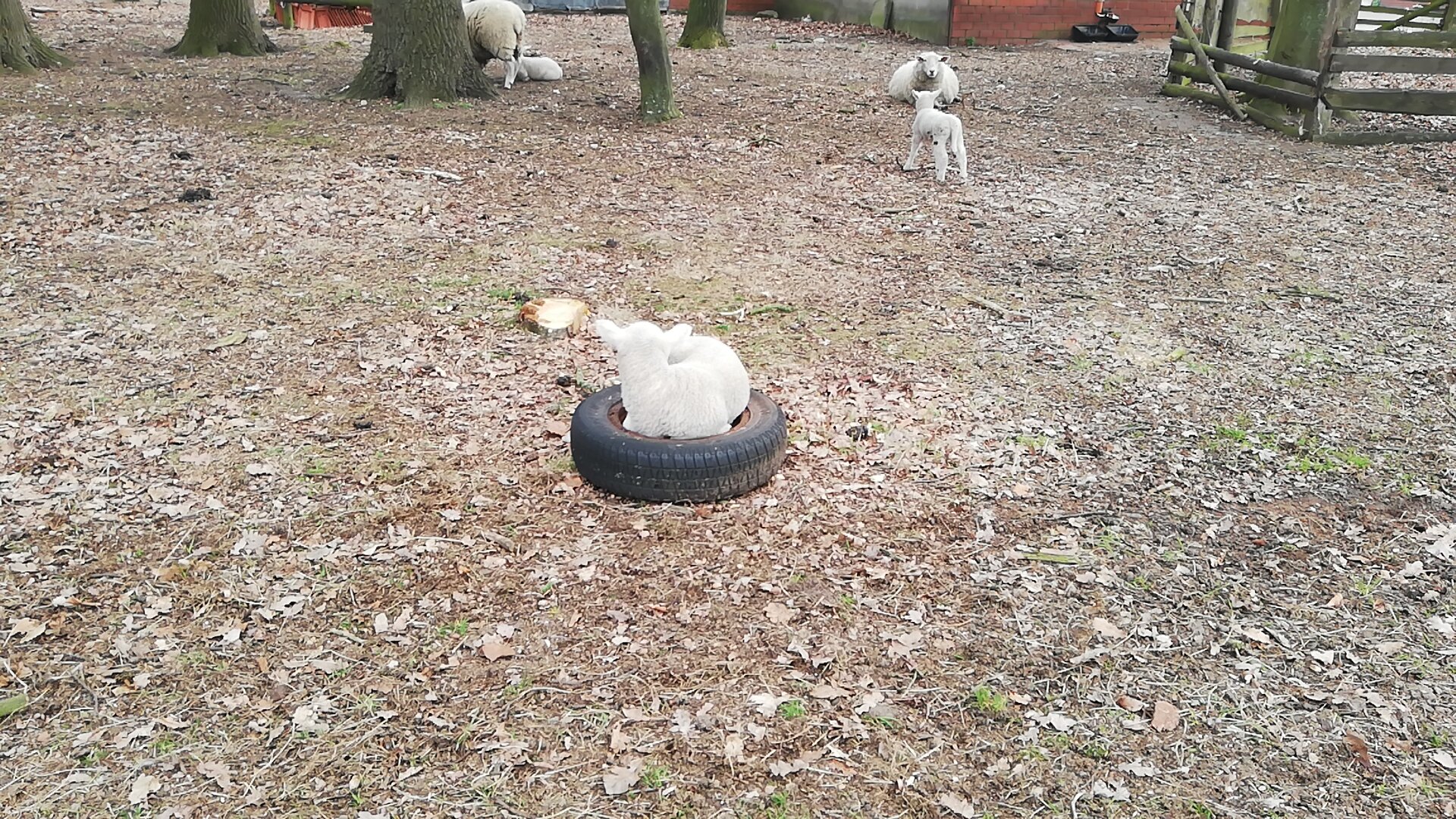 Angeblich der beste Schlafplatz :D