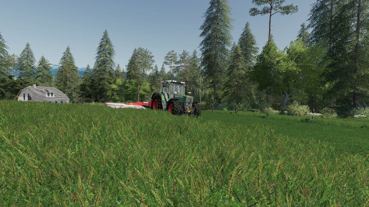 Holz am Tergensee Gras Mähen mitten drin !!!