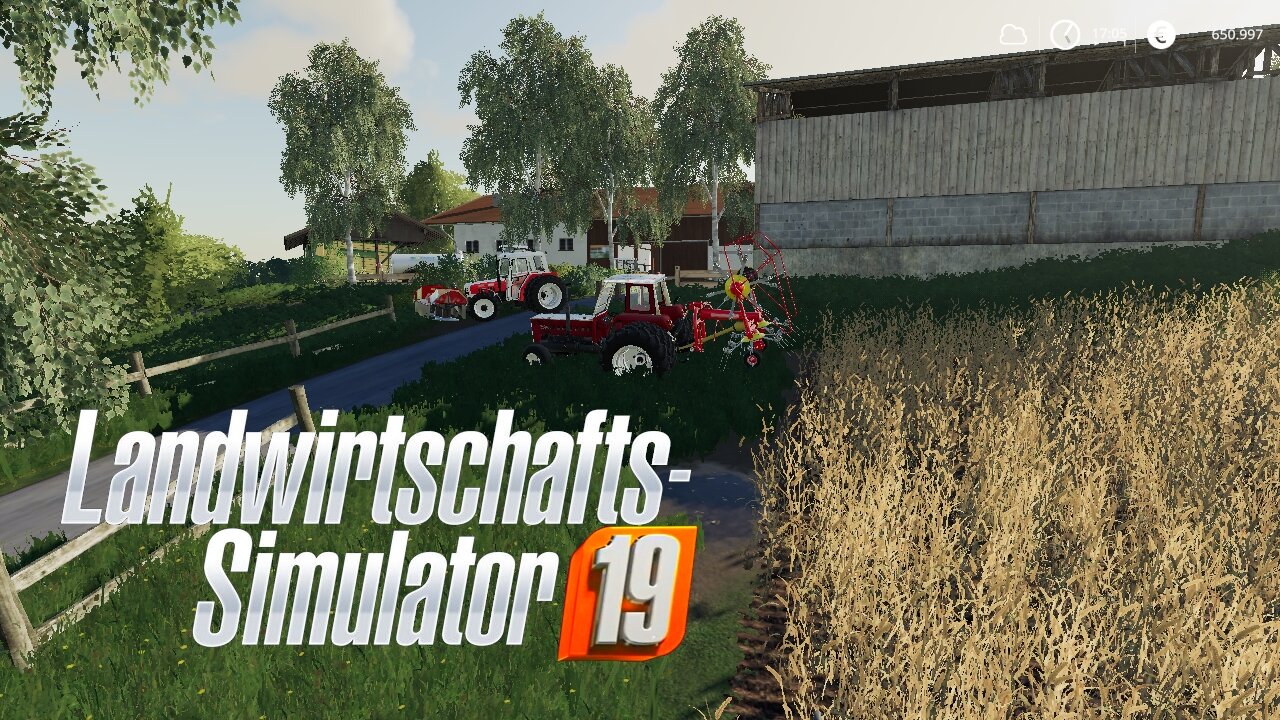 FS 19 Walchen