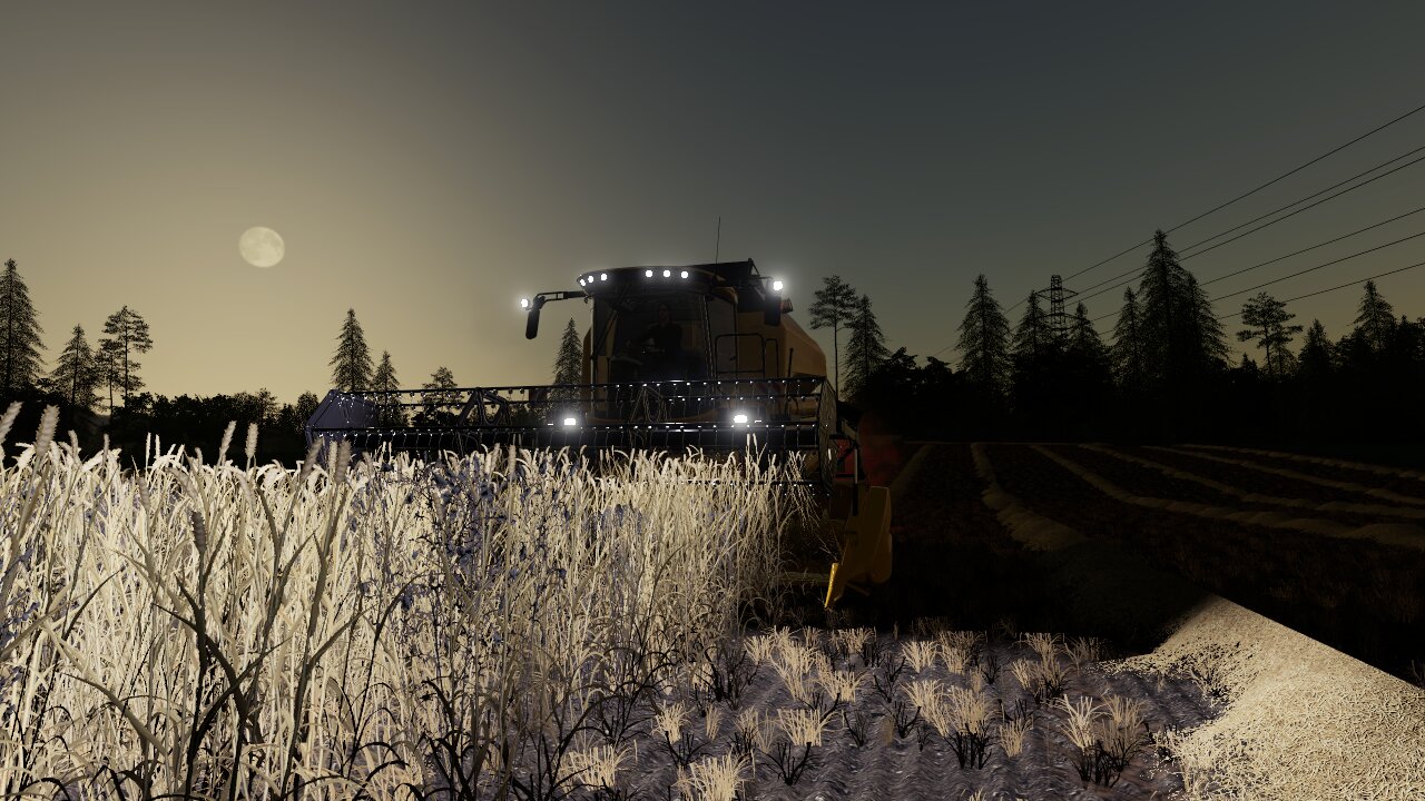 Vollmond
