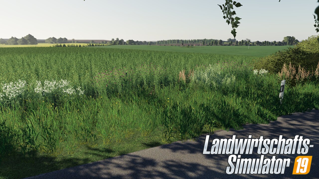 Die Lindow Map