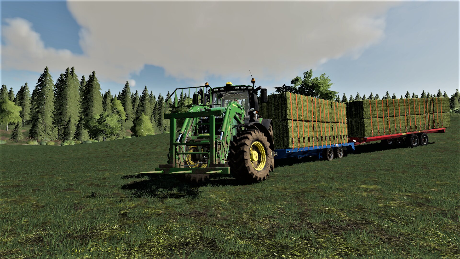 hay