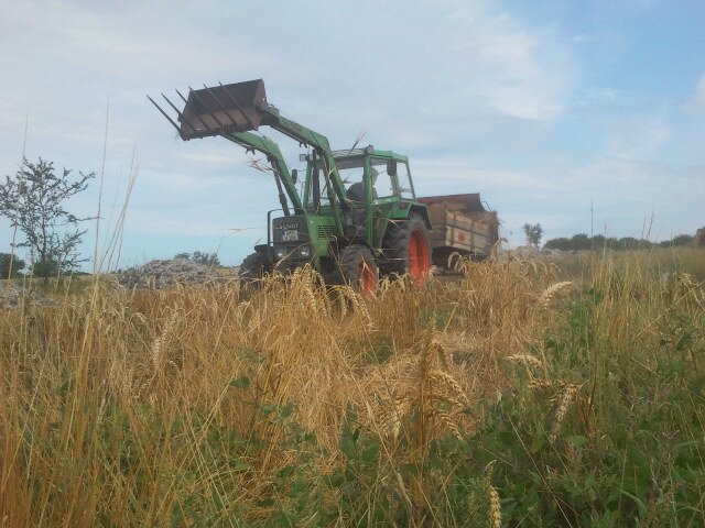 Fendt Farmer 103 Lsa am Mistfahren