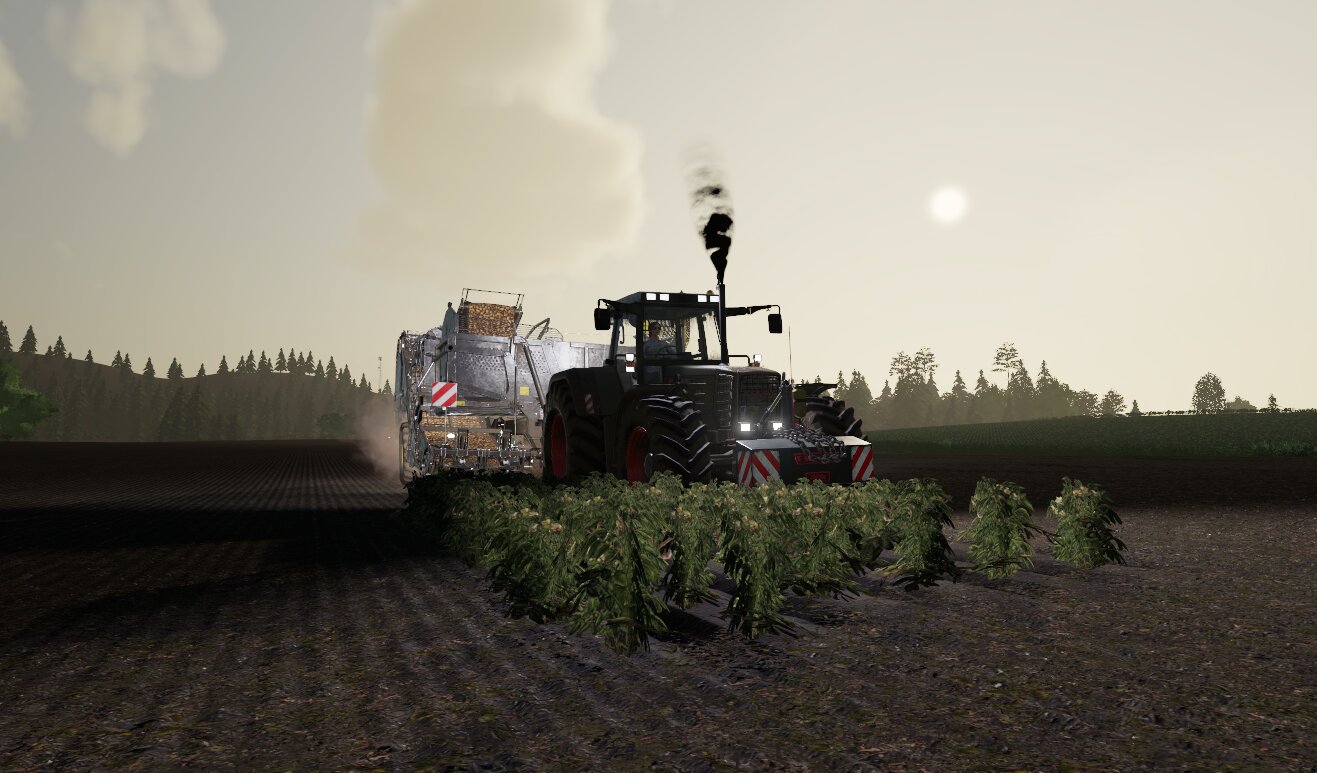 KARTOFFEL ERNTE