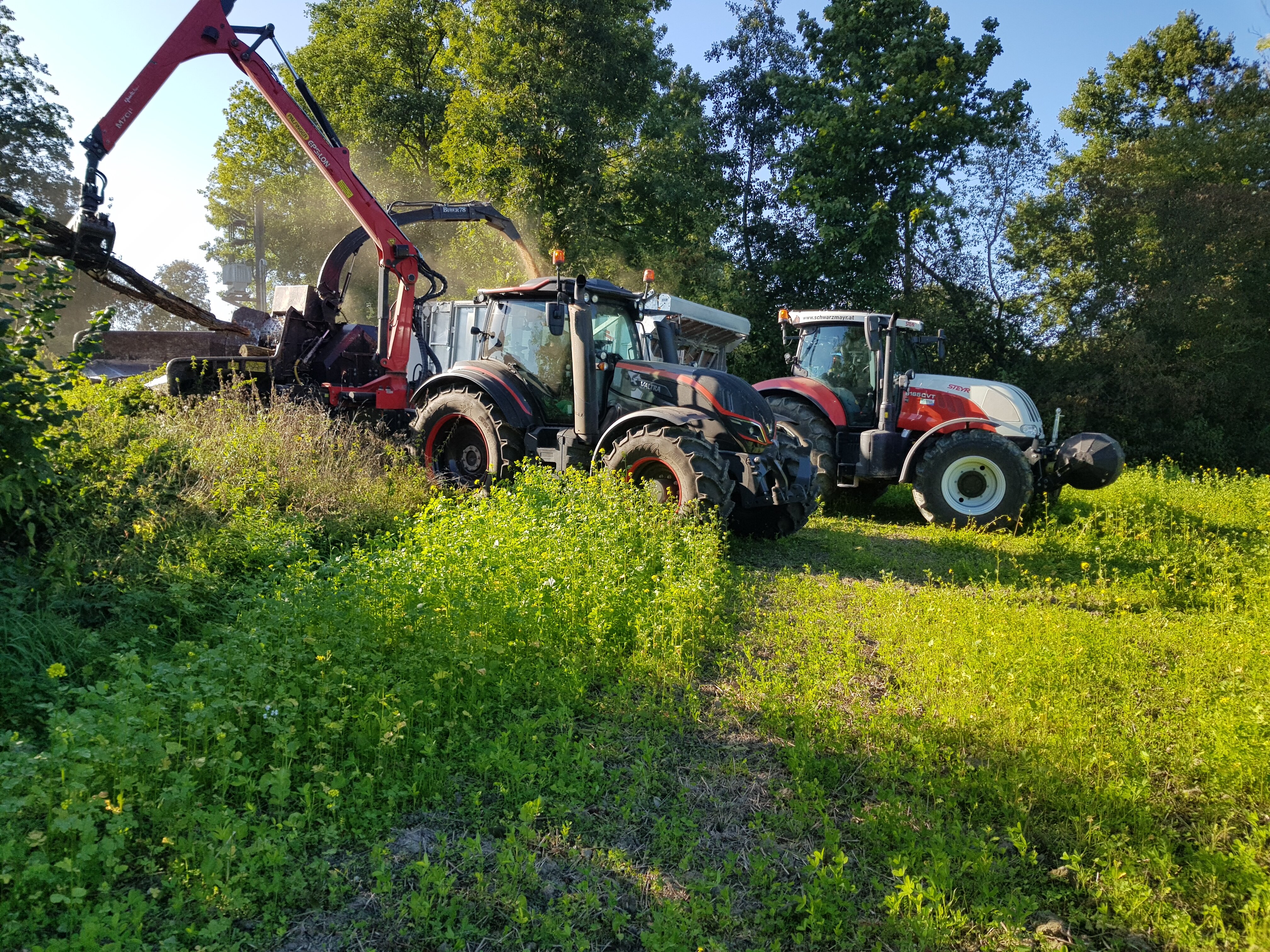 Holzhacken mit ner Speziallackierung <3