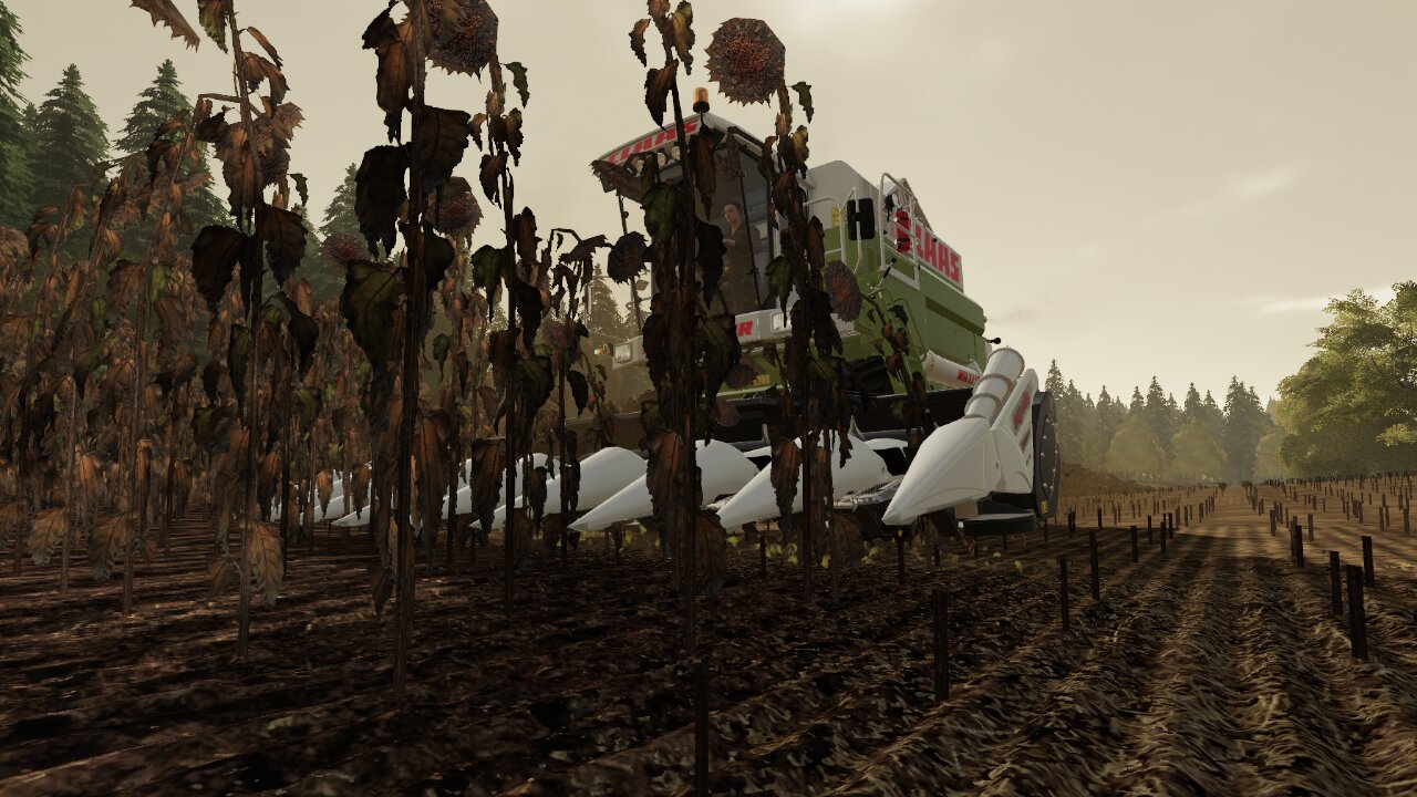 Sunnabluma mim Claas Dominador 108sl MAXI dreschn