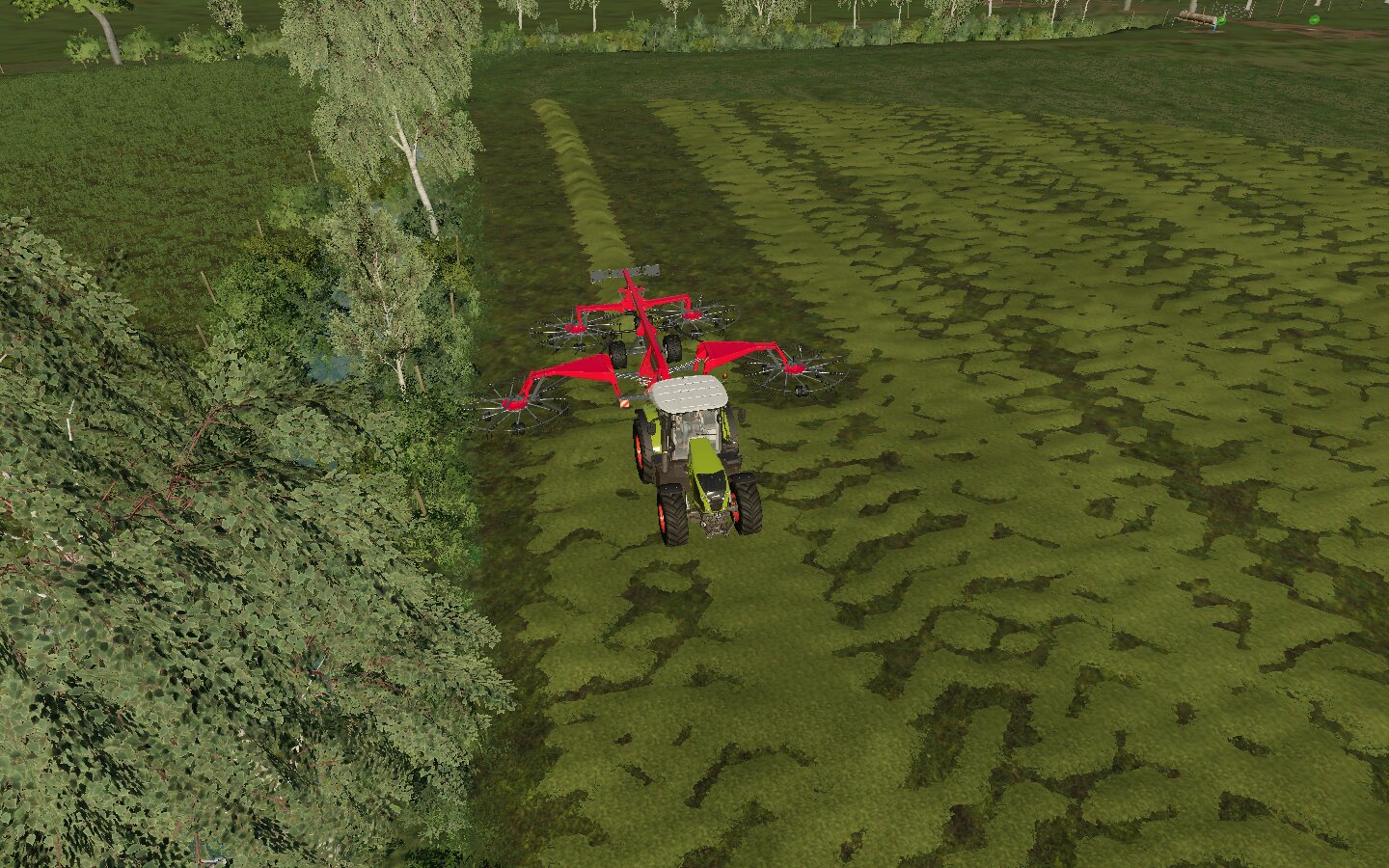 windrow hay