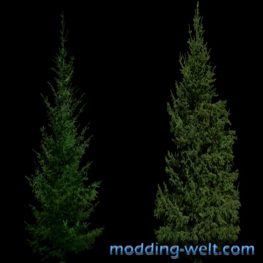 foliage_treesNadel2_diffuse.png