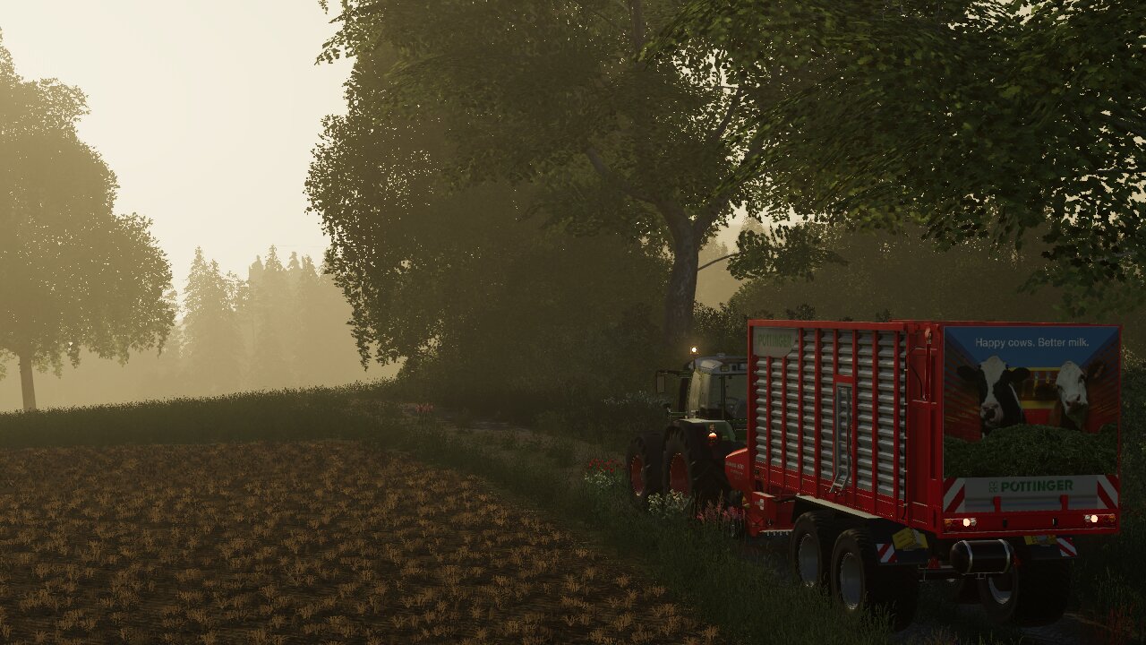 Im Morgengrauen Silieren