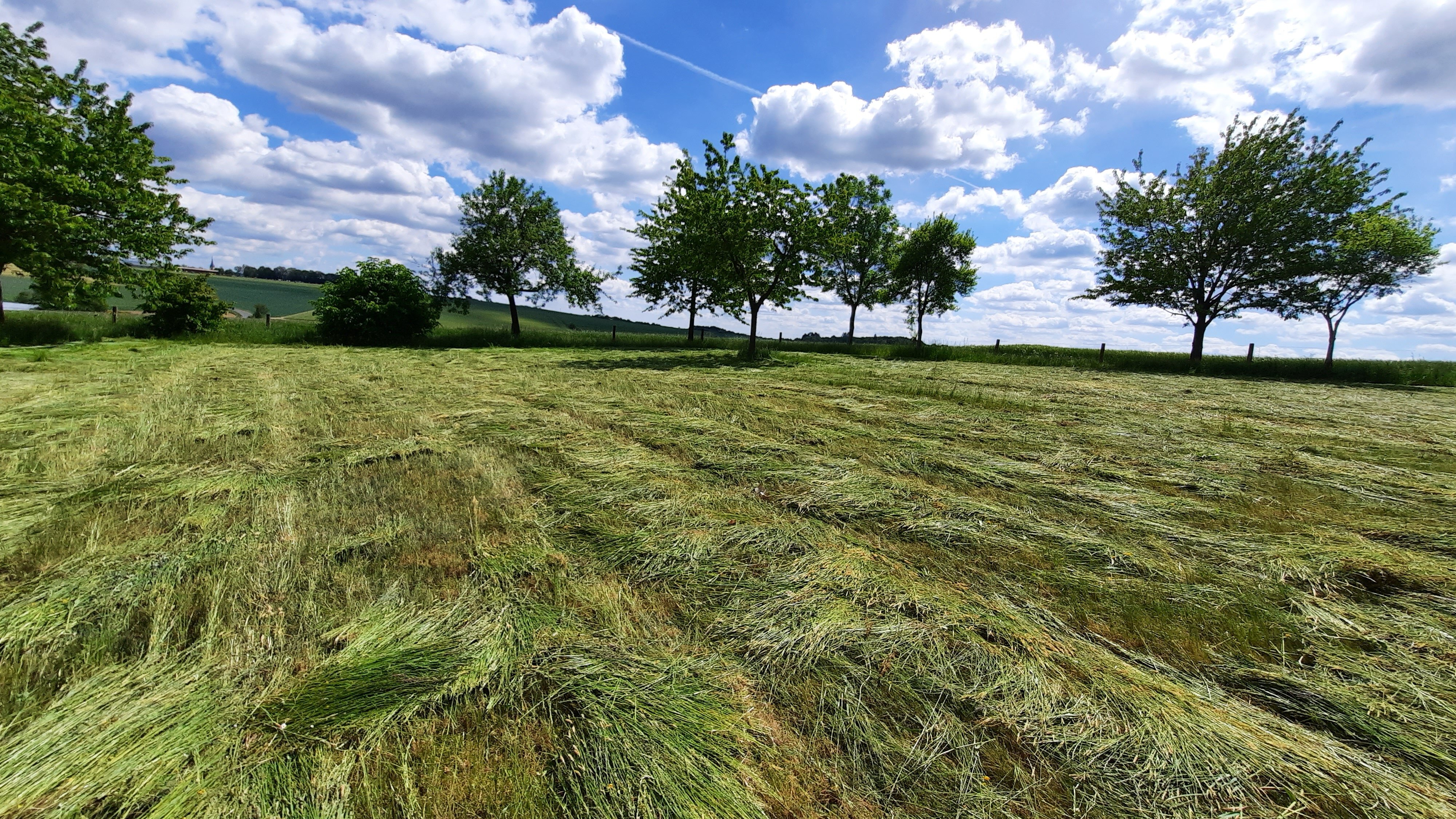 Für das ich noch nie selber gras gemäht habe ist es nicht schlecht geworden