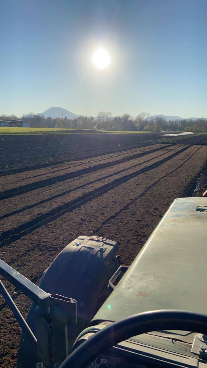 Feldarbeit