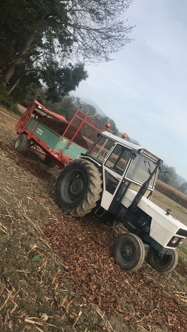 Mist fahren