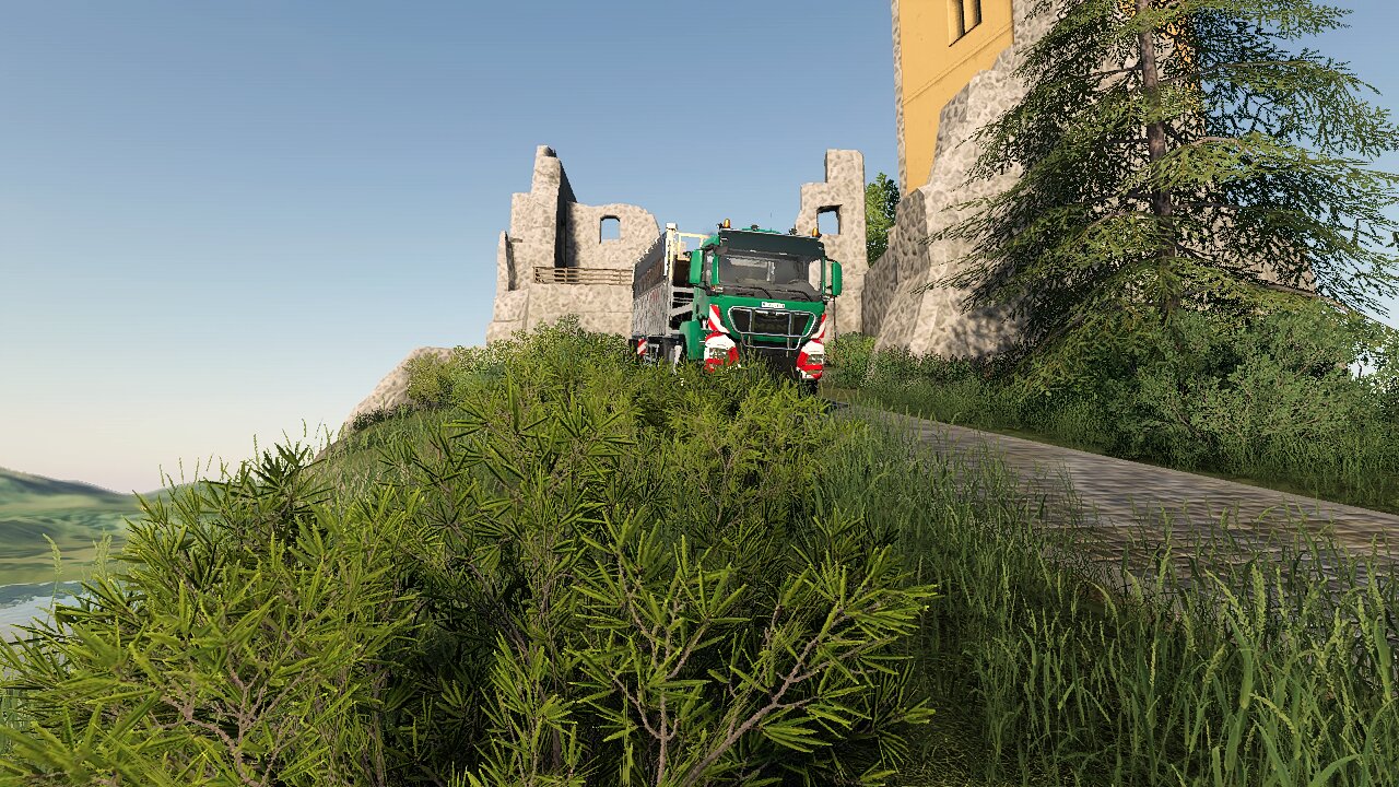 Farming Simulator 19 26.06.2020 16_07_16