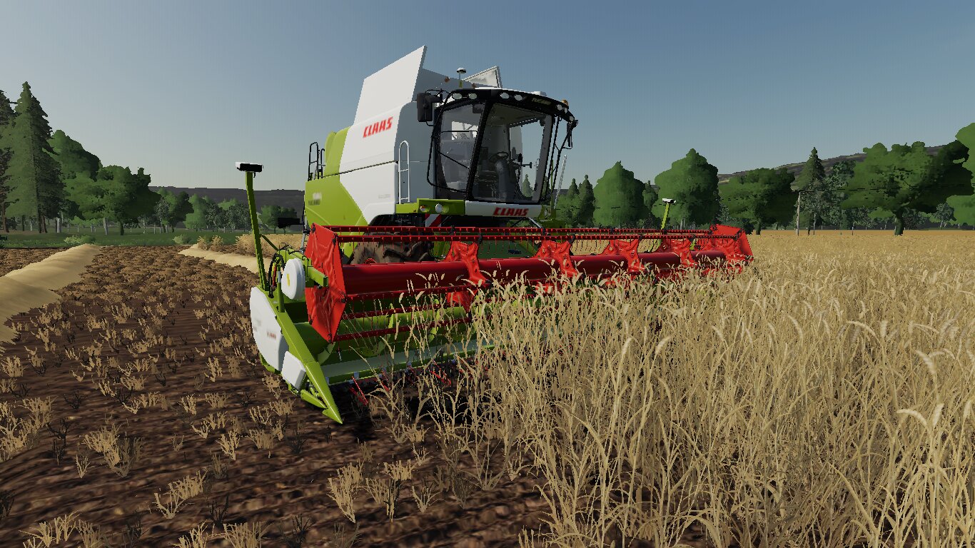 Mit dem Claas Tucano dreschen.