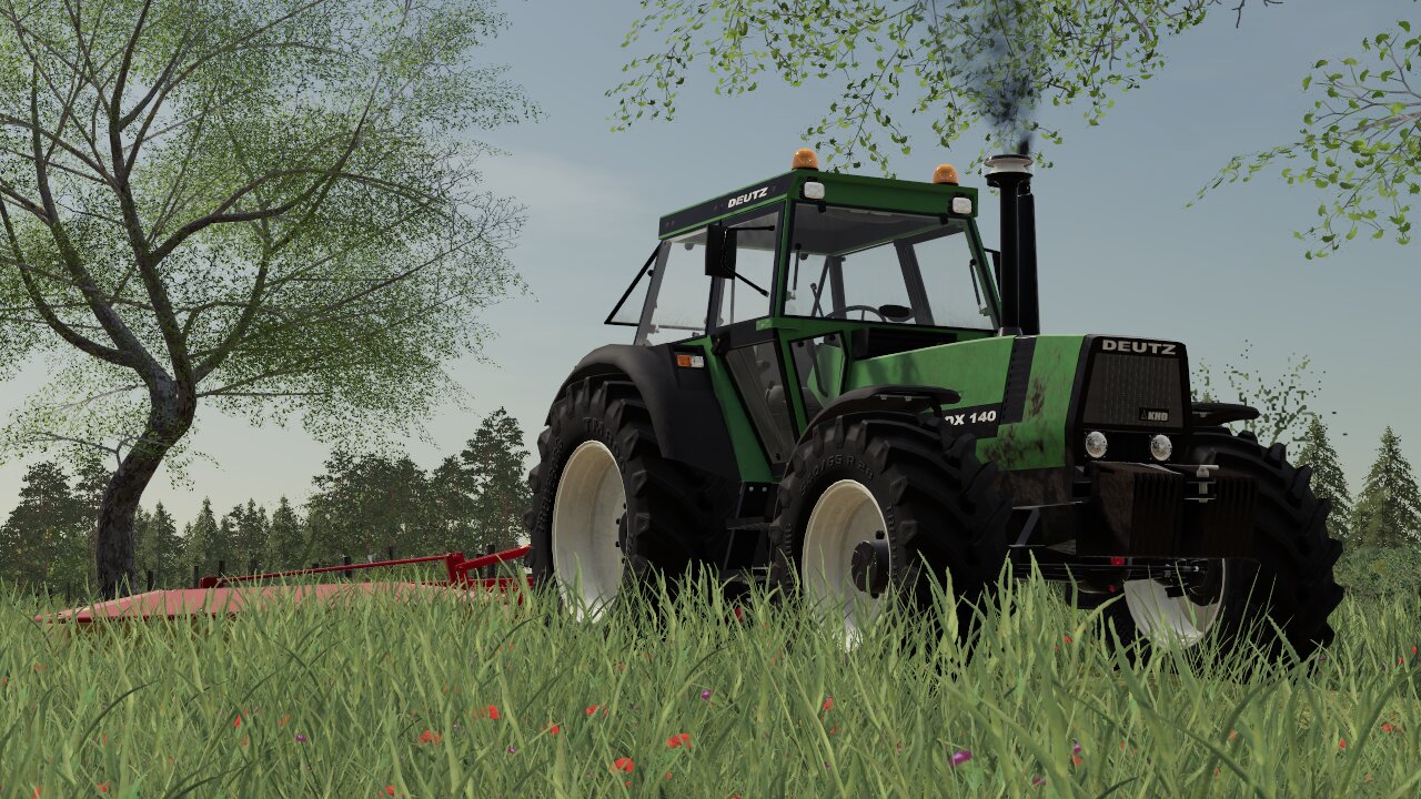 Anfang 1 Schnitt