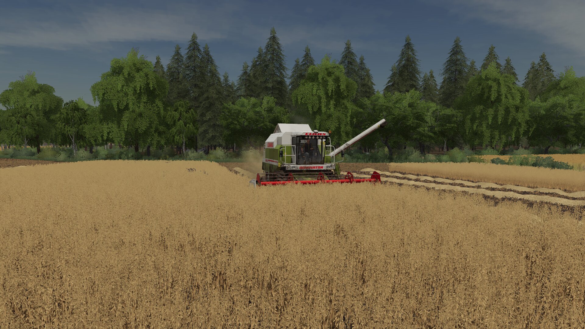 Der Do mit 6m SW im Hafer