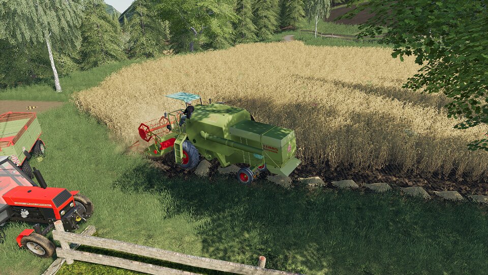 Gersten Drusch mit Claas Consul