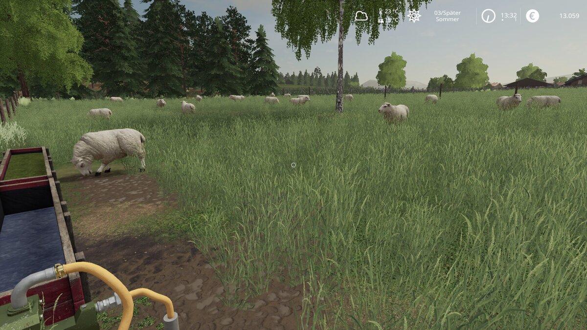 Schafe ?