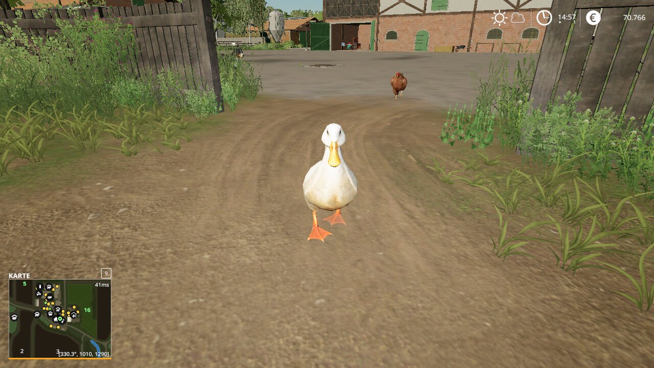 Quack