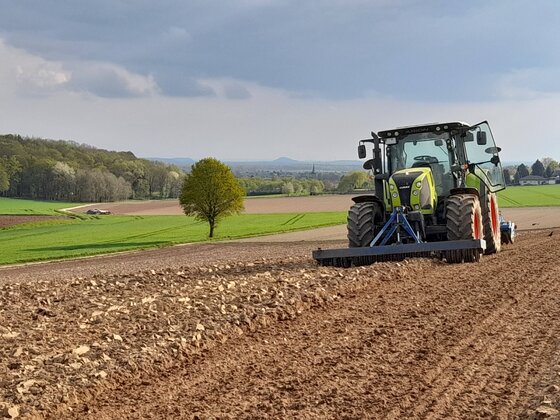 Maisland Vorbereitung im Rheinland