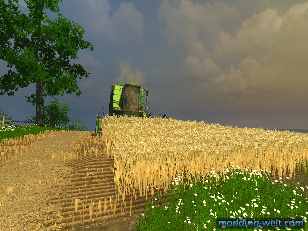 Seldwylsches Land Update 14.02.13