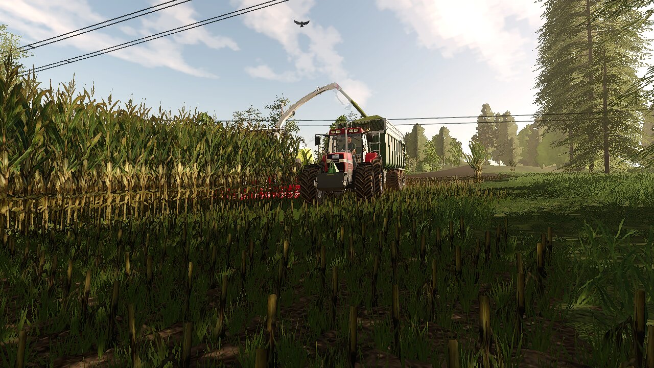 maishäckseln mit maxxum