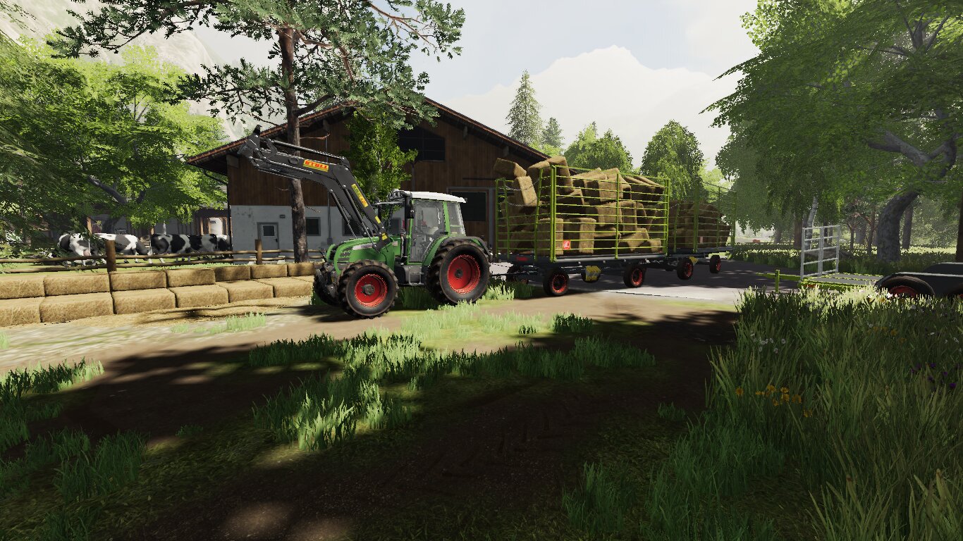 Paar HD ballen fahren