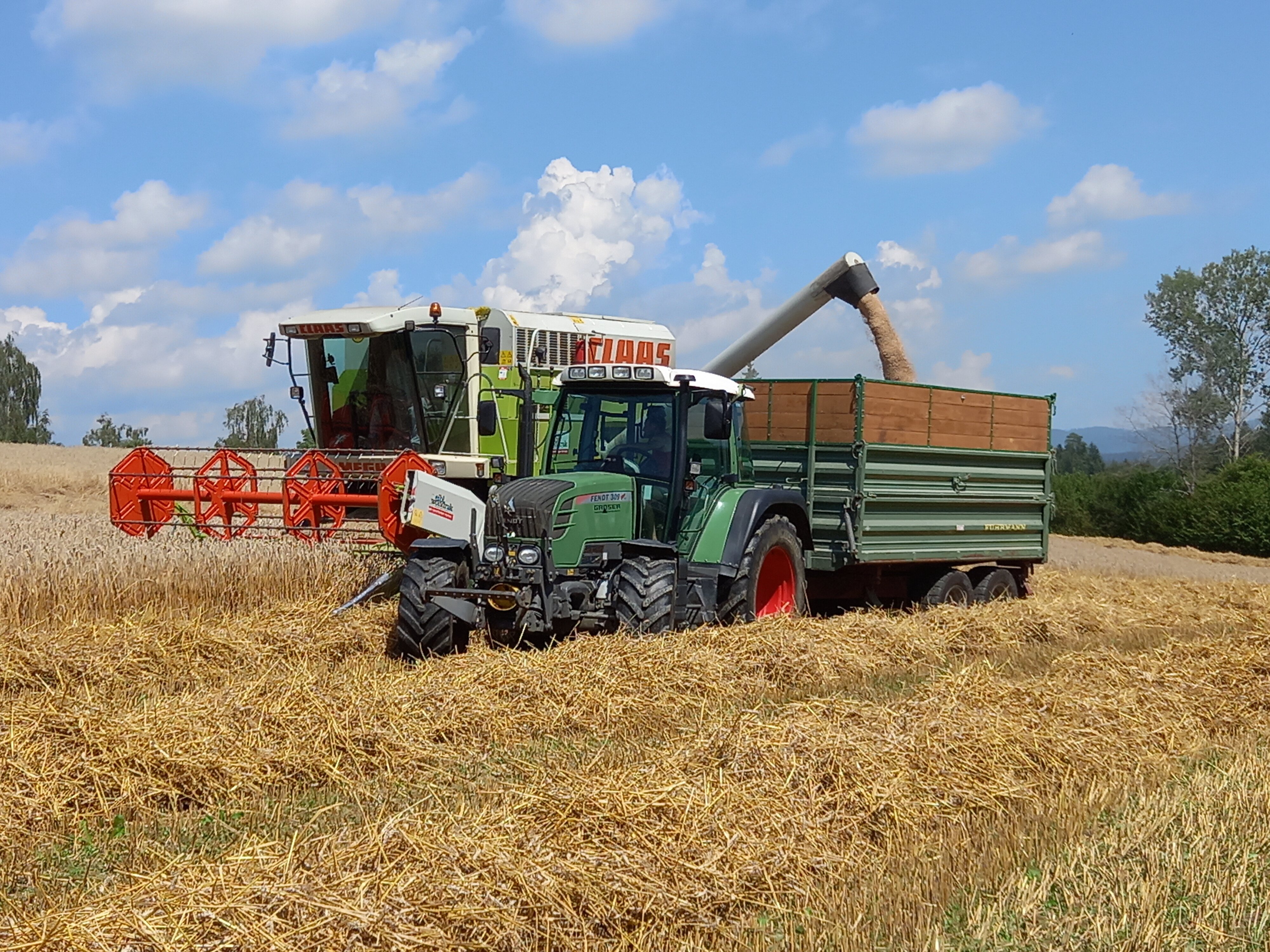Dreschen mit Claas Mega 204 und Fendt 309 Vario TMS