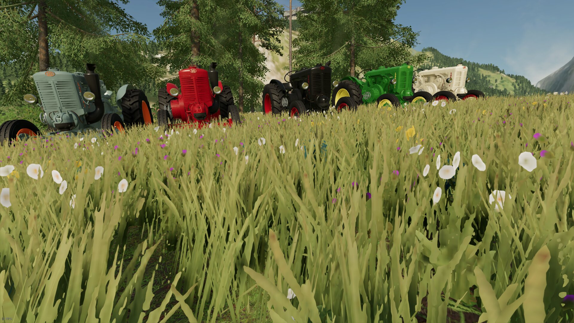 Meine kleine Landini L45 Sammlung   danke an das beste Team