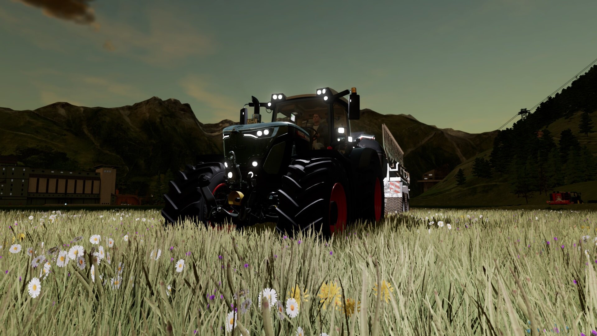Black Beauty