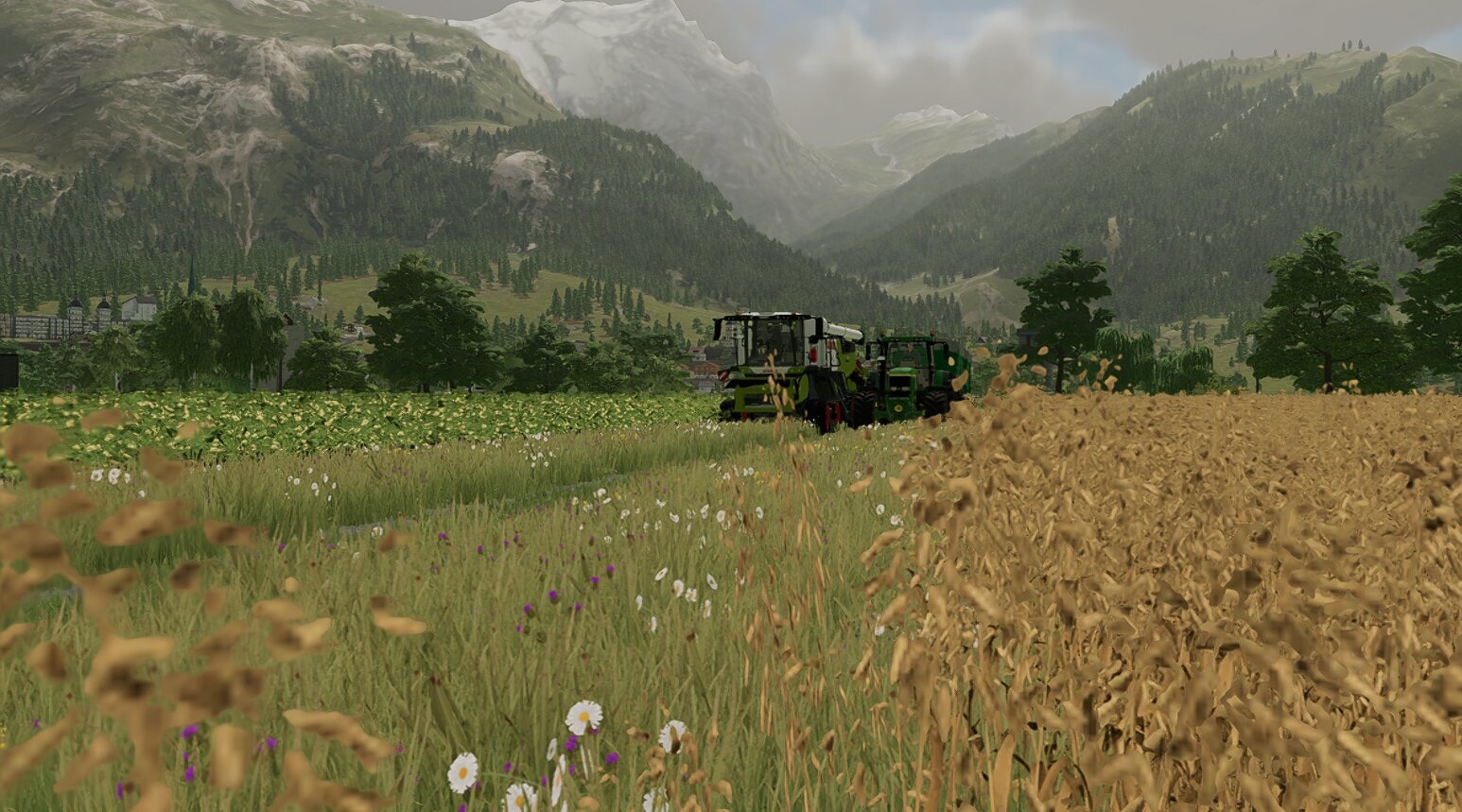 Dreschen mit dem neuen Trion 720