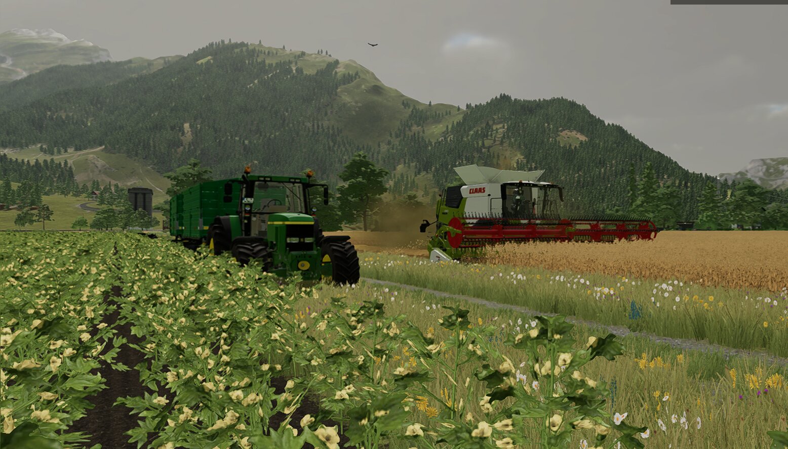 Dreschen mit dem neuen Trion 720
