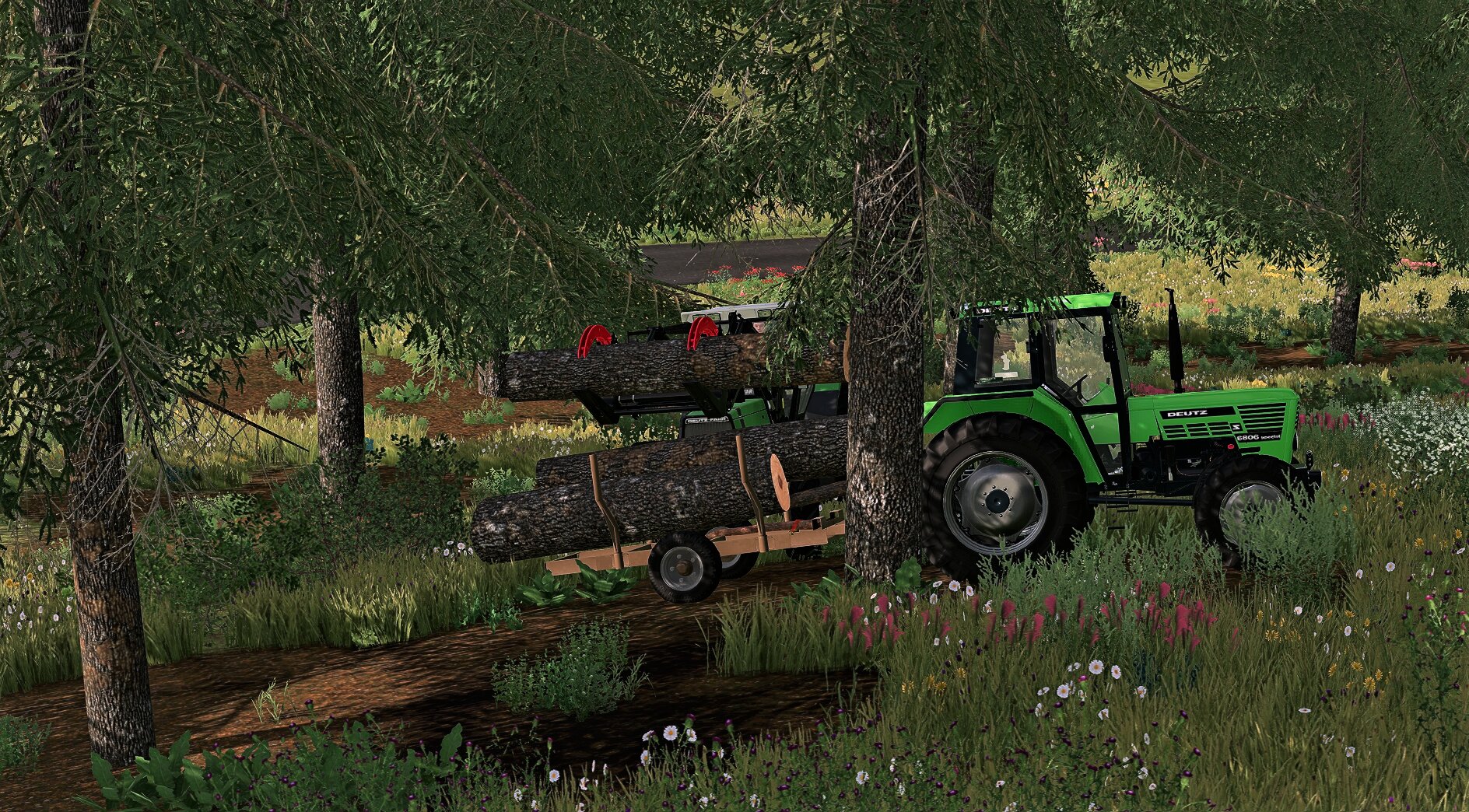 Holz (2)