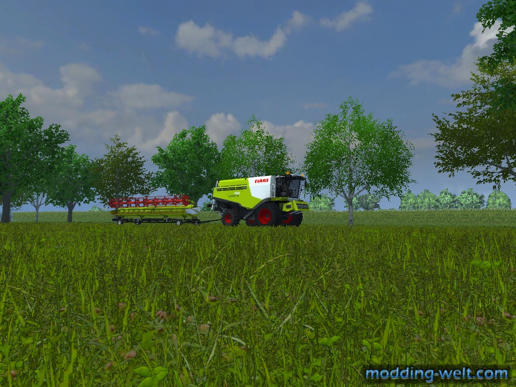 Lexion