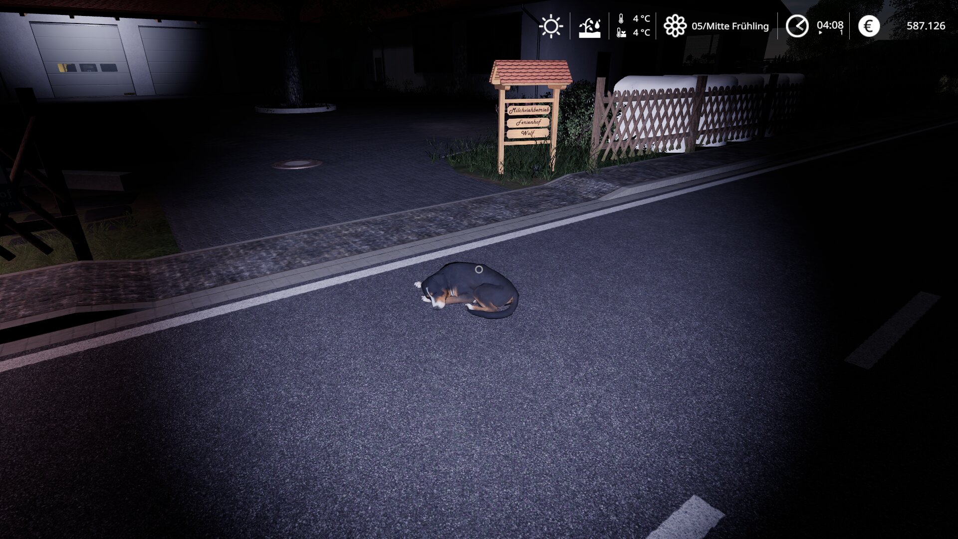 Dieser Hund ist verrückt !!