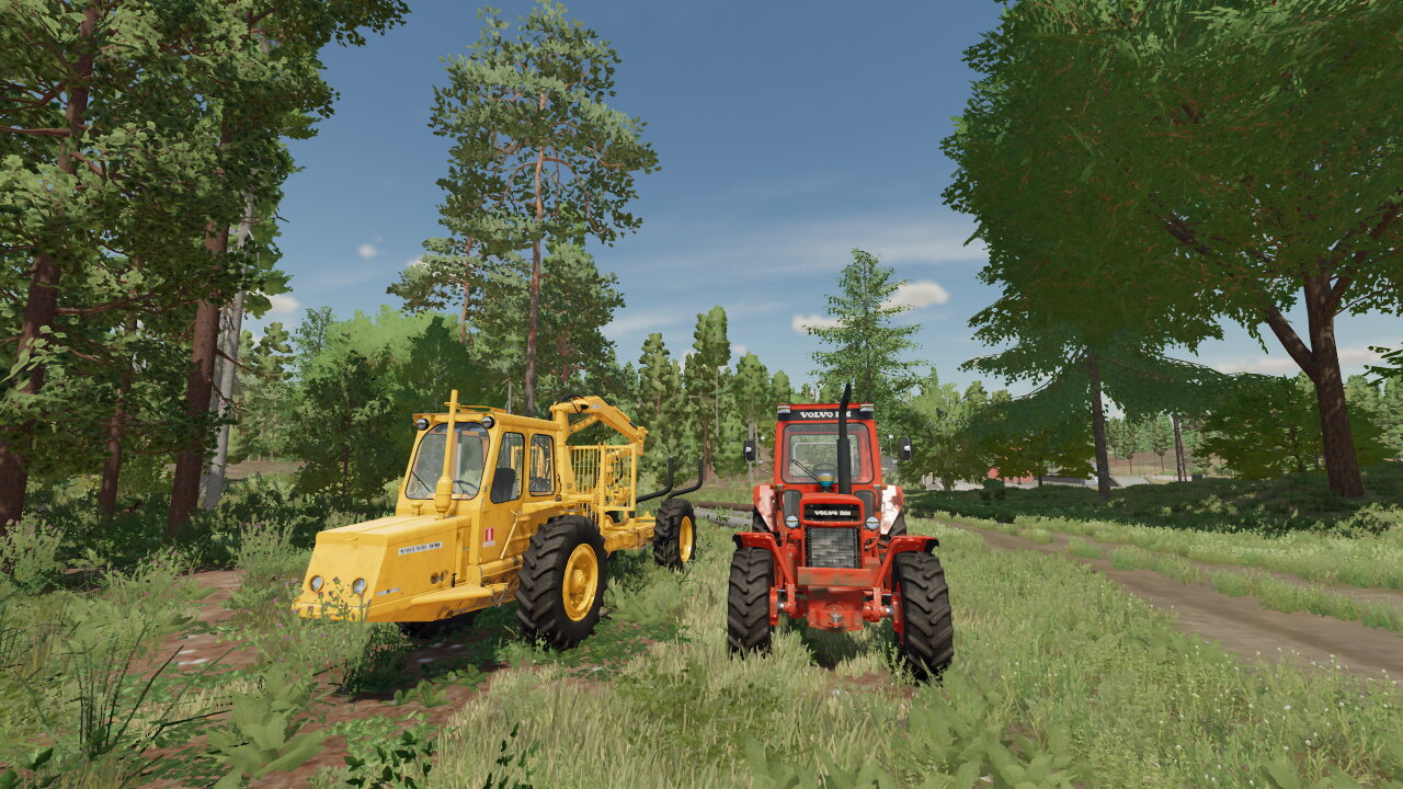 Holzfällerlehrgang