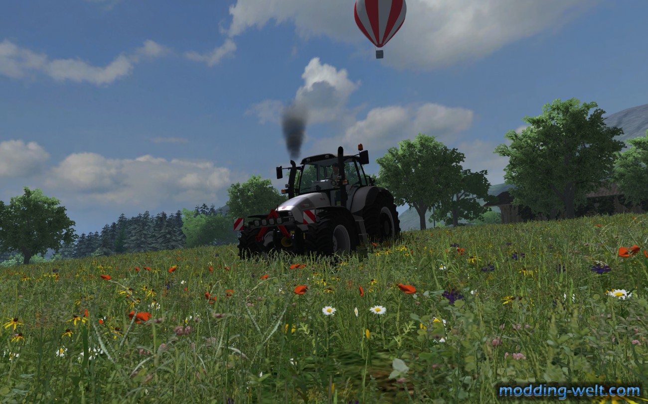 Sommerfeeling.png