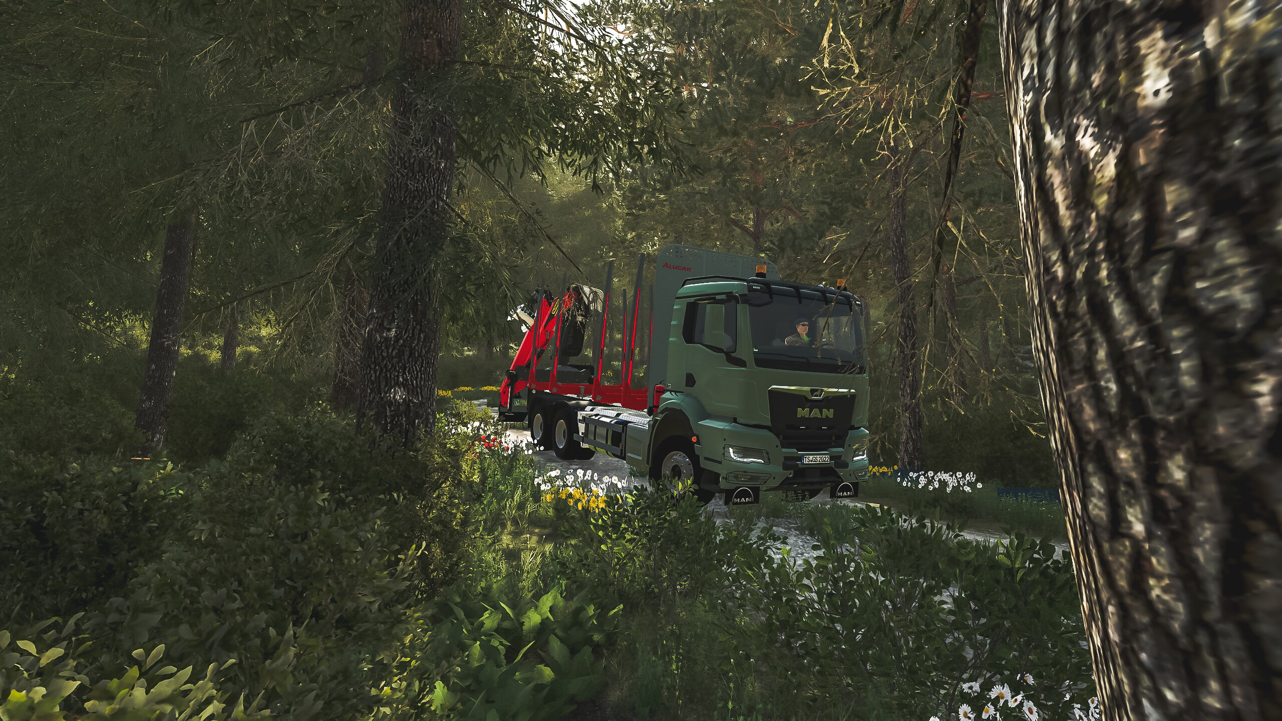 Mit dem neuen MAN TGS TG3 bissl ins Holz gefahren.