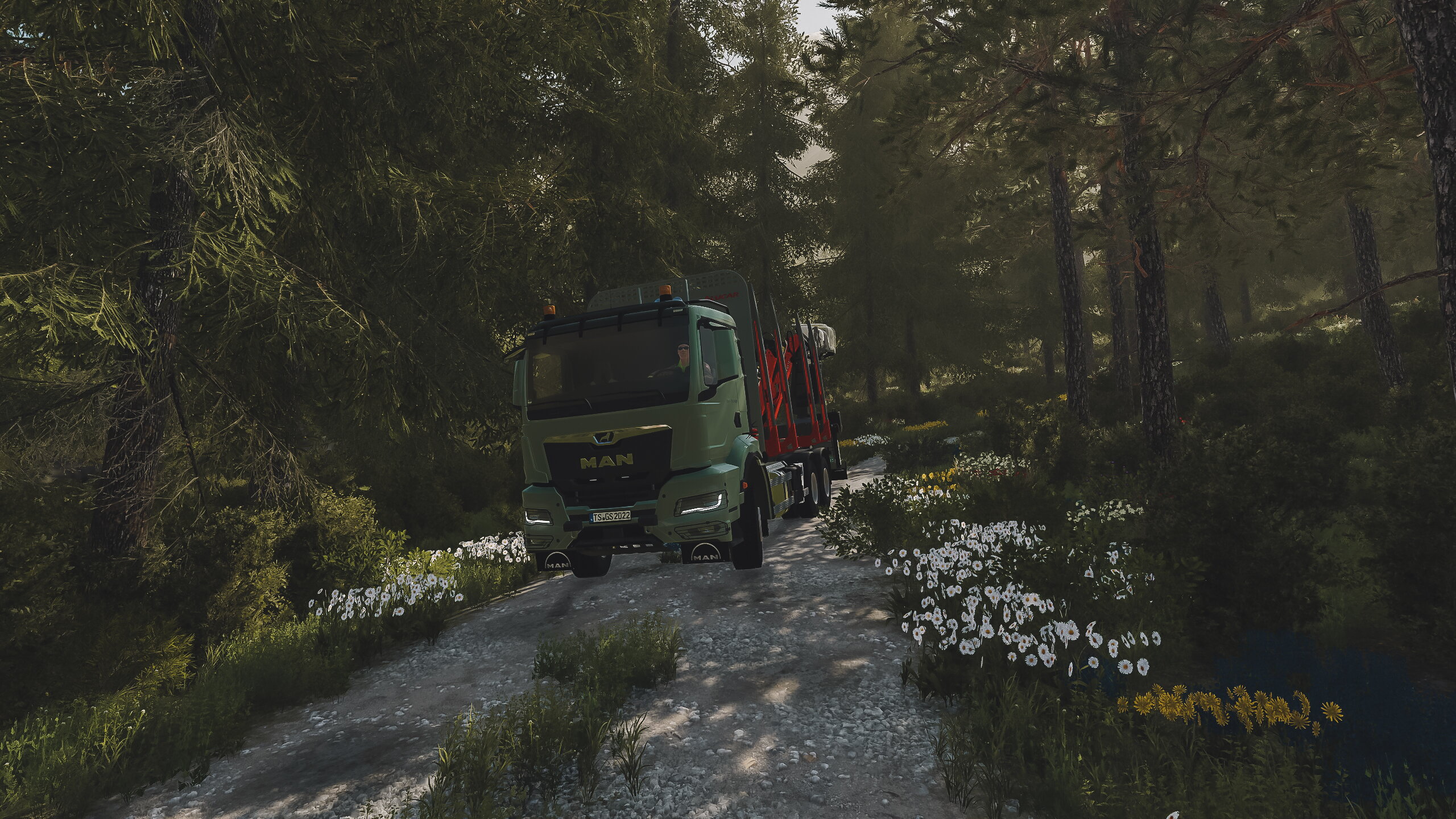Mit dem neuen MAN TGS TG3 noch schnell ins Holz auf der Neu - Minibrunn
