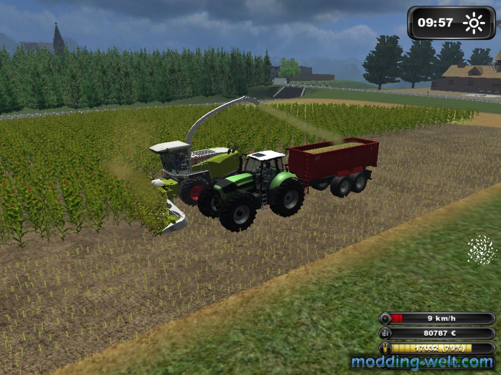 Letzte Silage bei mir