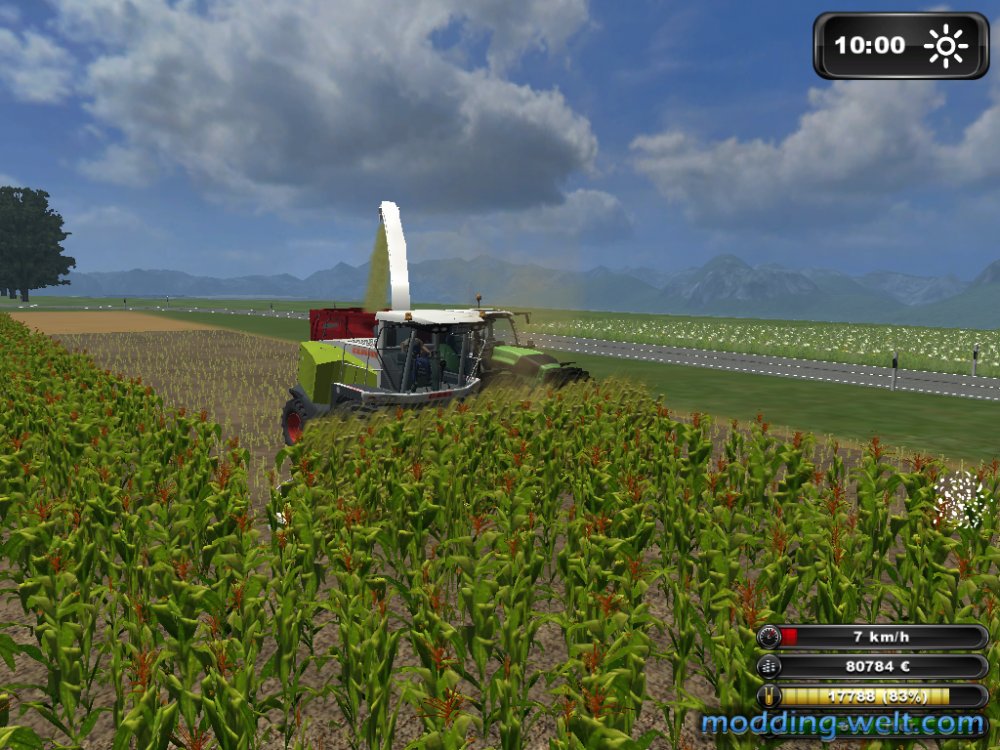 Letzte Silage bei mir