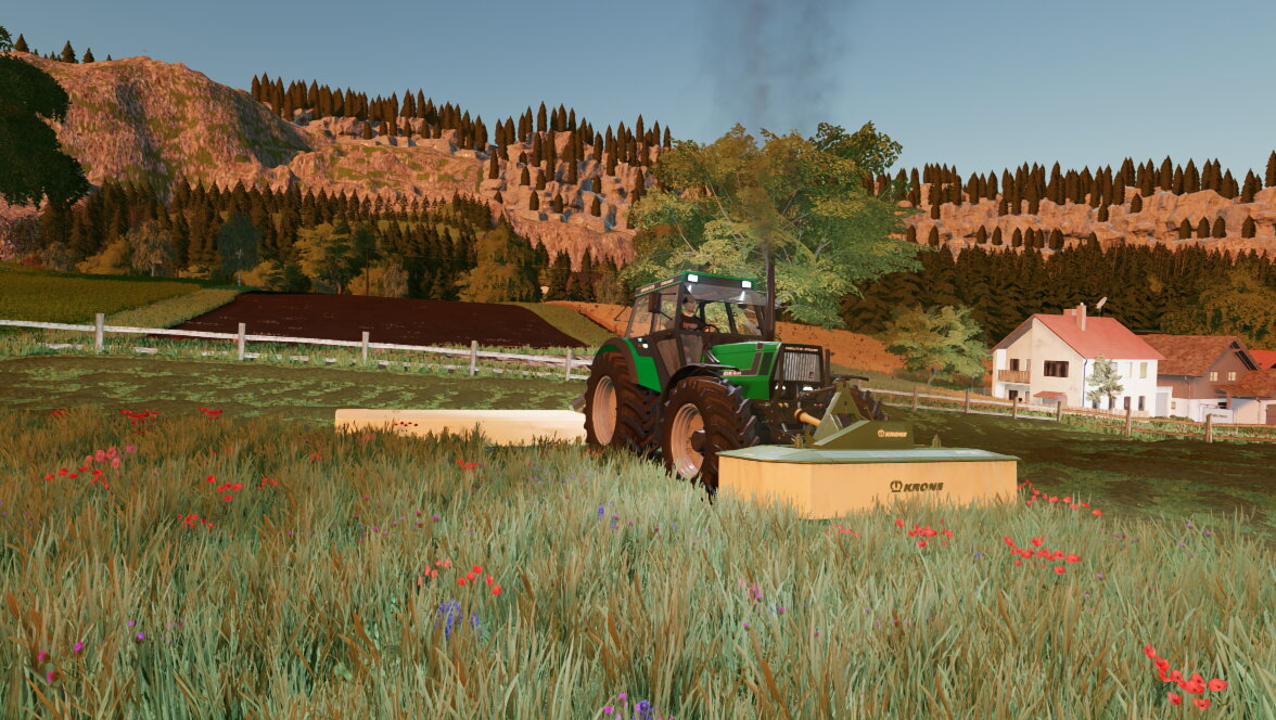 Gras Mähen